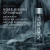 voss v